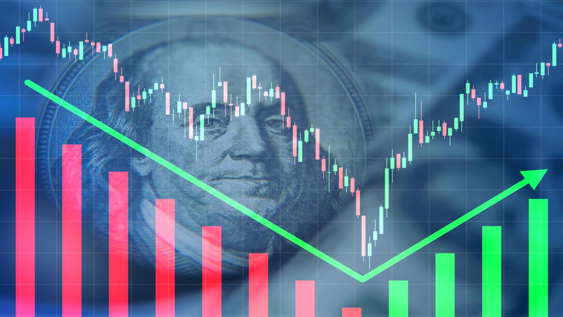 dead cat bounce.jpg