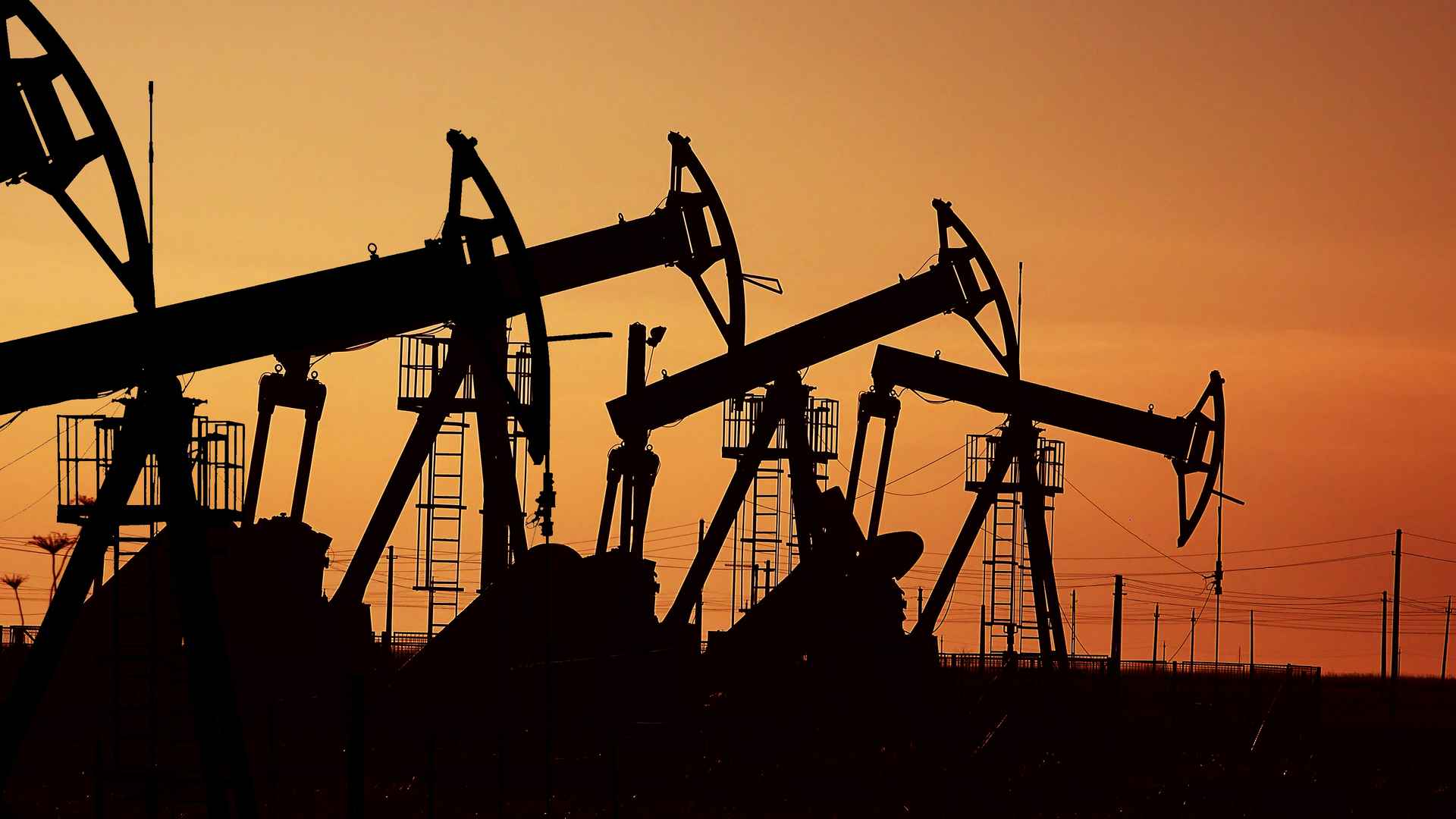 oil2.jpg